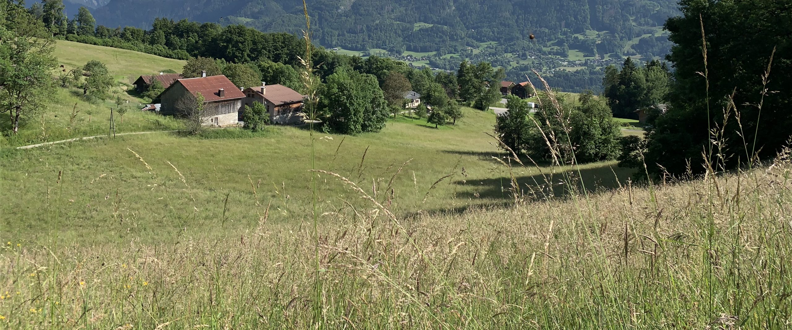 La ferme des Curtets - Samoëns